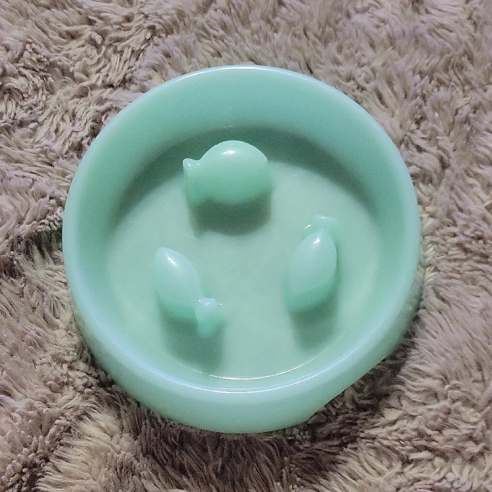 🌞Mint Green Fish Cat Food Dish